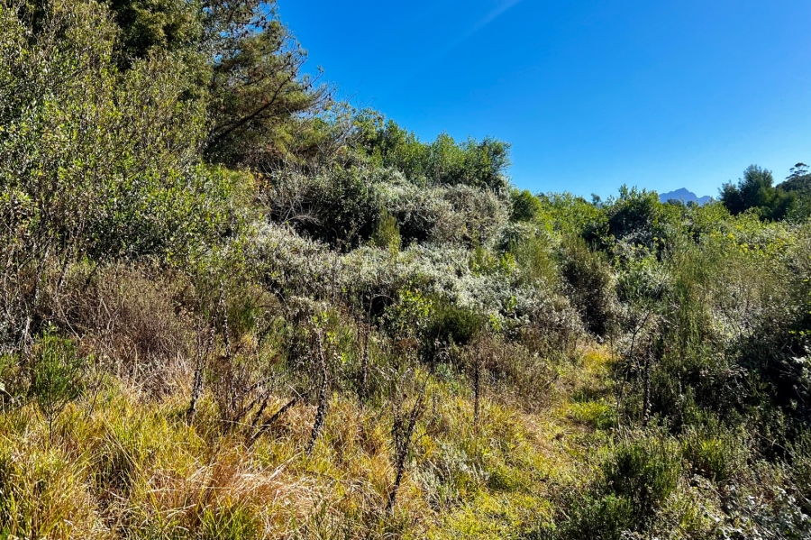  Bedroom Property for Sale in Wilderness Heights Western Cape